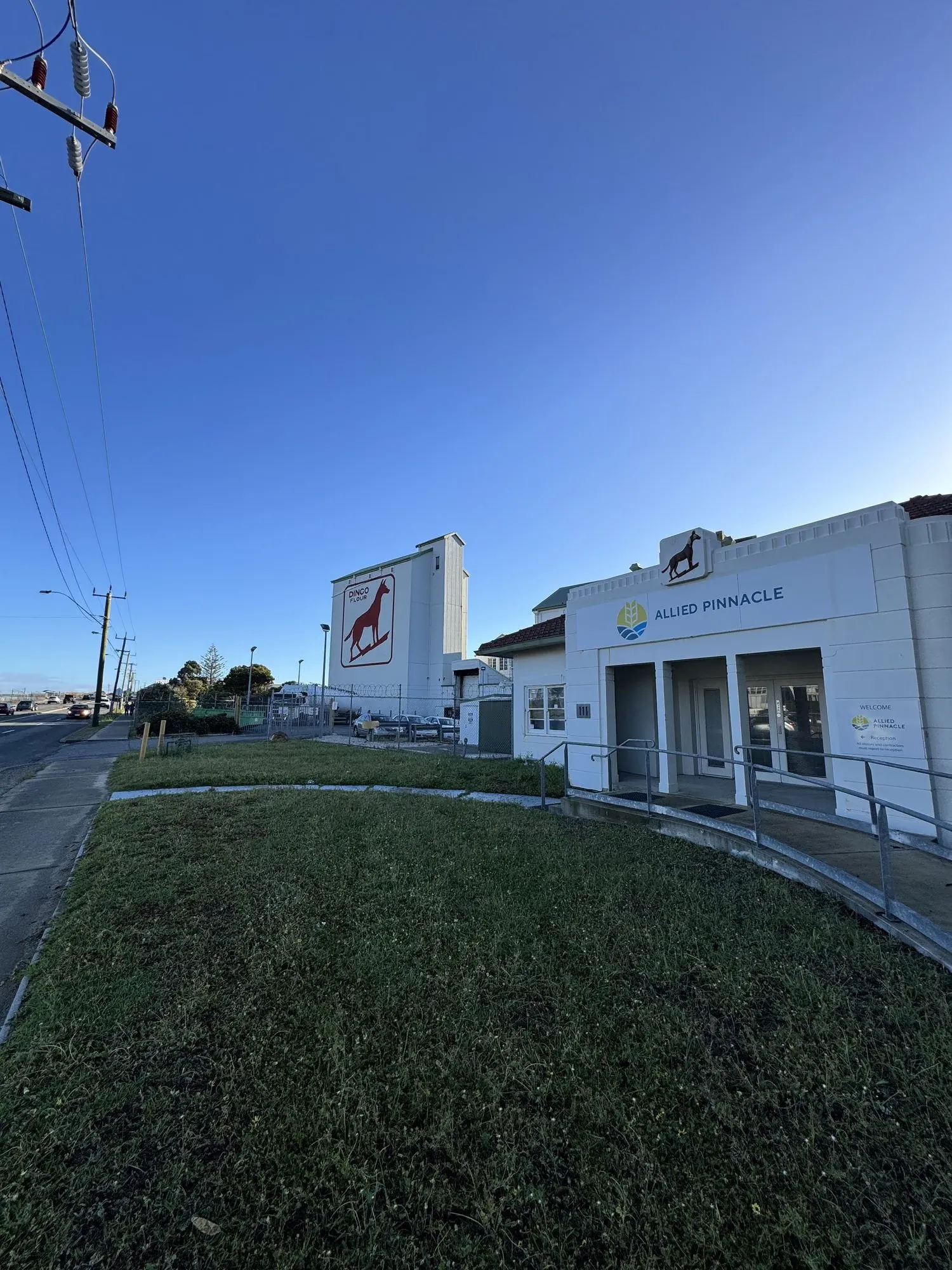 Allied Pinnacle site office with the Dingo Flour silo and its red dingo mural rising behind