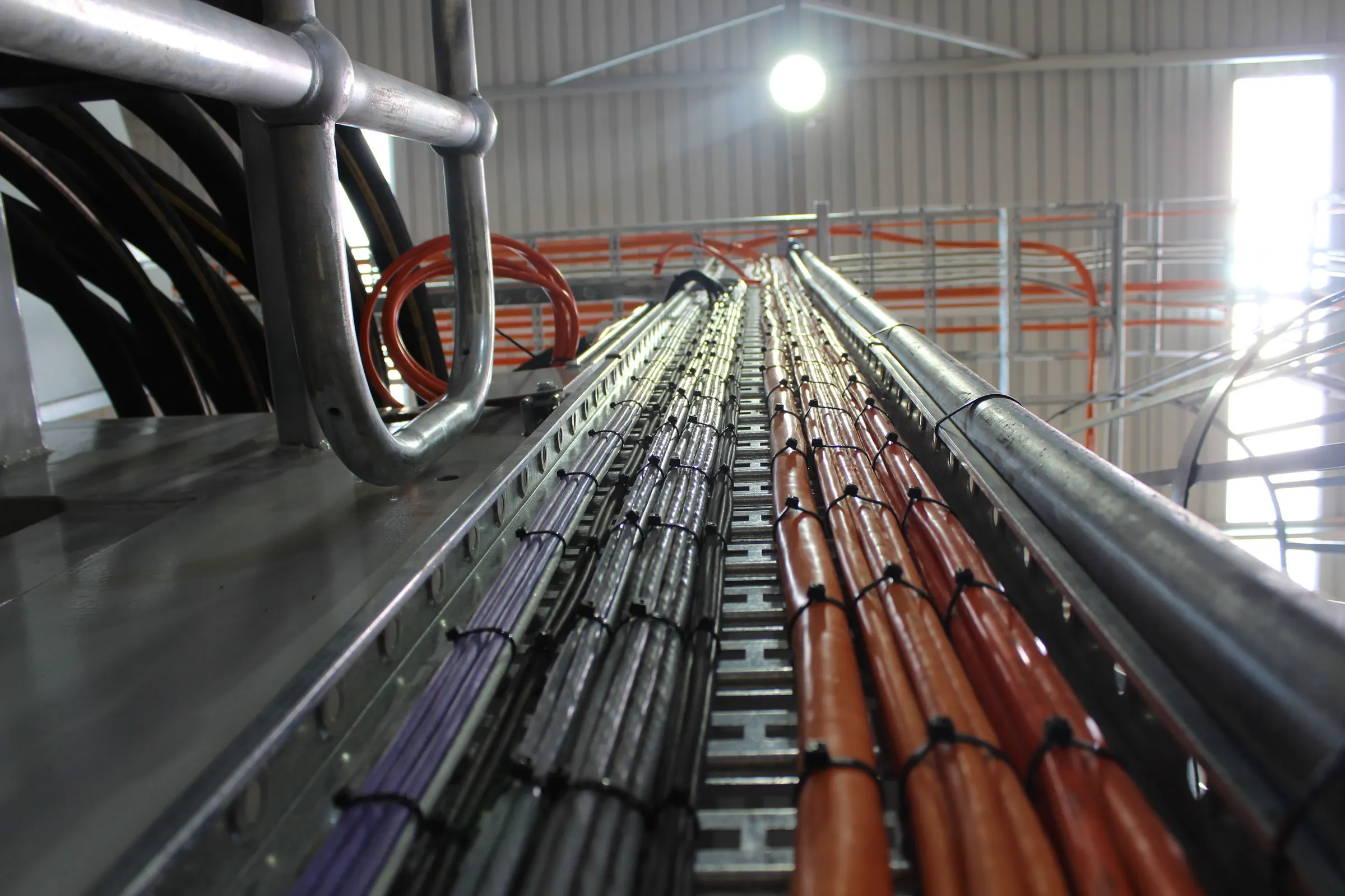 Electrical conduit installation hay processing facility Western Australia
